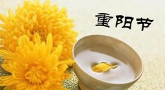 祝大家重陽節(jié)快樂！
